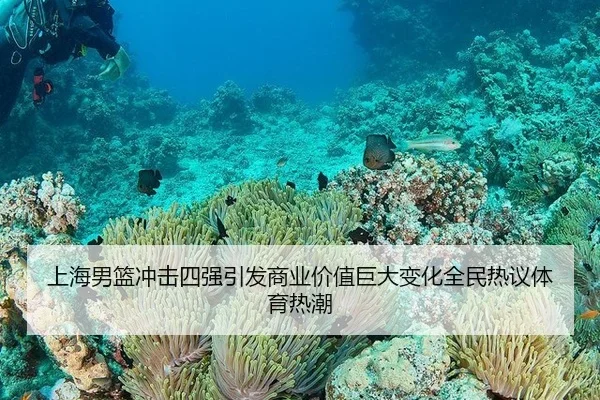 上海男篮冲击四强引发商业价值巨大变化全民热议体育热潮